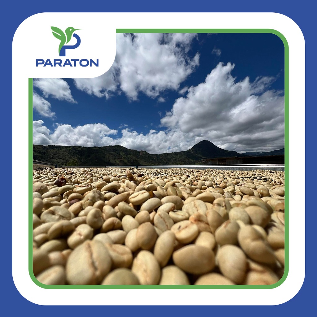 CAFÉ TOSTADO PROCESO LAVADO VARIEDAD CATUAI X 250GR 