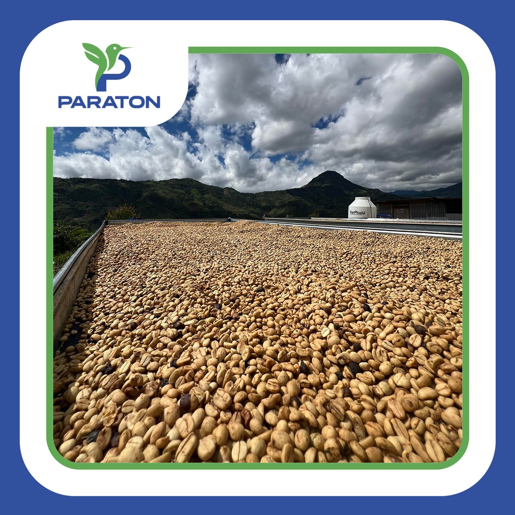 CAFÉ TOSTADO PROCESO HONEY VARIEDAD CATUAI X 250GR 