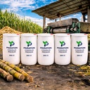 DESTILADO DE CAÑA MOSTO VERDE  COGOLLO PREMIUN A GRANEL X 200L