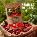 SEMILLA DE CAFE VARIEDAD CATUAI ROJO X 1KG